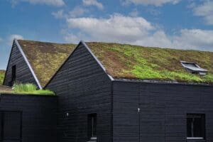 Green roof on modern farmhouse