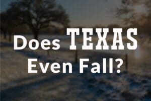 Winterize your home in Texas before its too late